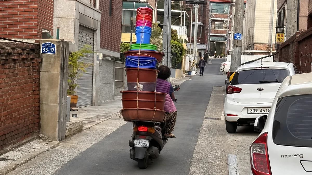 신기한 순간
