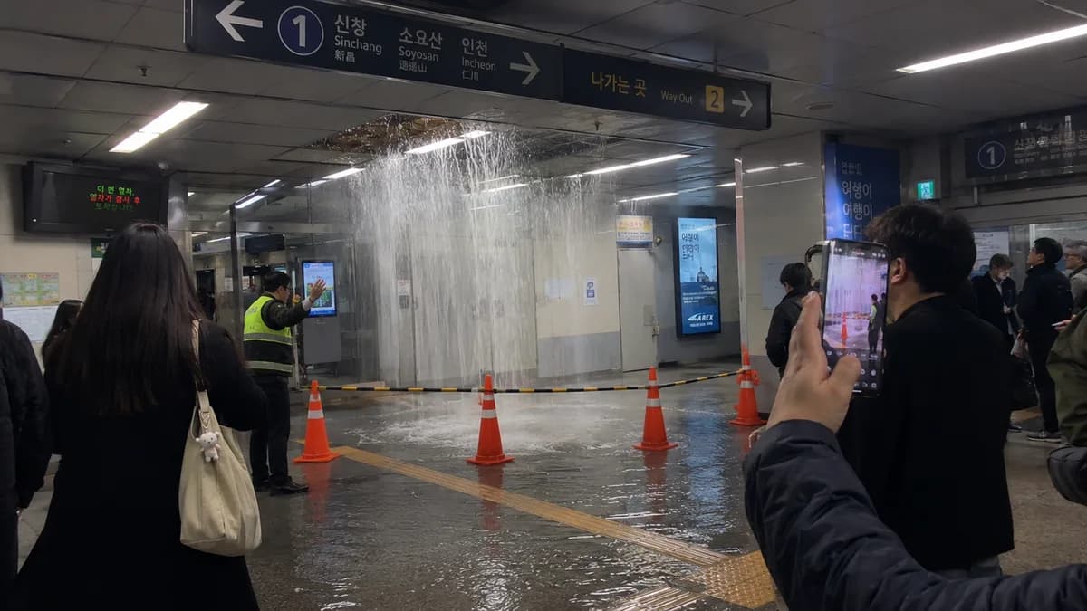 뉴스